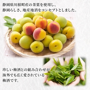 0009-106-03 高砂 山廃お茶梅酒 500ml