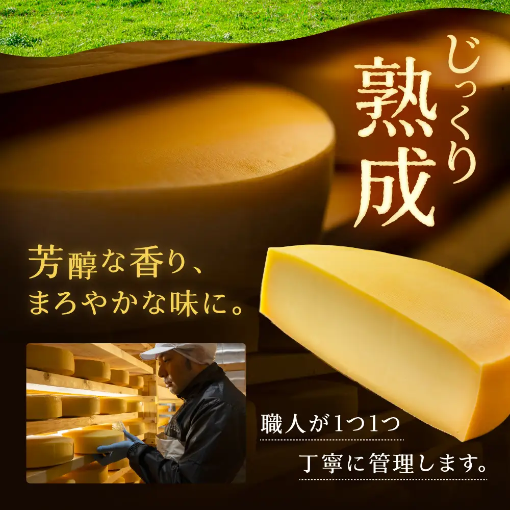北海道 熟成チーズ 5種詰め合わせ《足寄町》【合同会社あしょろチーズ工房】 [BEAU003]