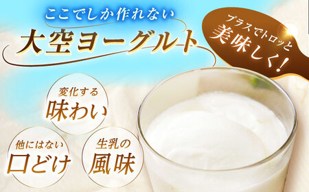 大空ヨーグルト 400g×6個【足寄町/あしょろ観光協会】ヨーグルト[BEAE005]