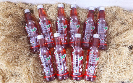 あしょろラズベリースカッシュ 10本《足寄町》【NPO法人あしょろ観光協会】 炭酸 [BEAE016]