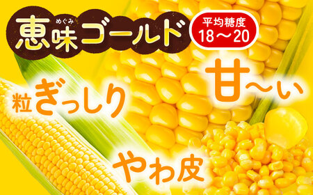 【先行予約】北海道 朝もぎとうもろこし 10本【8月上旬以降発送】《足寄町》とうもろこし [BEAA003]