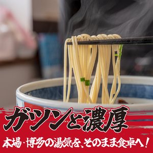 とんこつラーメン2人前×10袋、チャーシュー付【CF21】