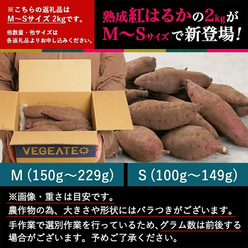 島津甘藷　熟成紅はるか 2kg(M～S)〔LB-A7-001-2kg〕_(都城市) さつまいも 幻のサツマイモ 幻の品種 紅はるか 2kg M～S べにはるか 生芋 ベジエイト 熟成 芋 定番 焼き芋 アウトドア