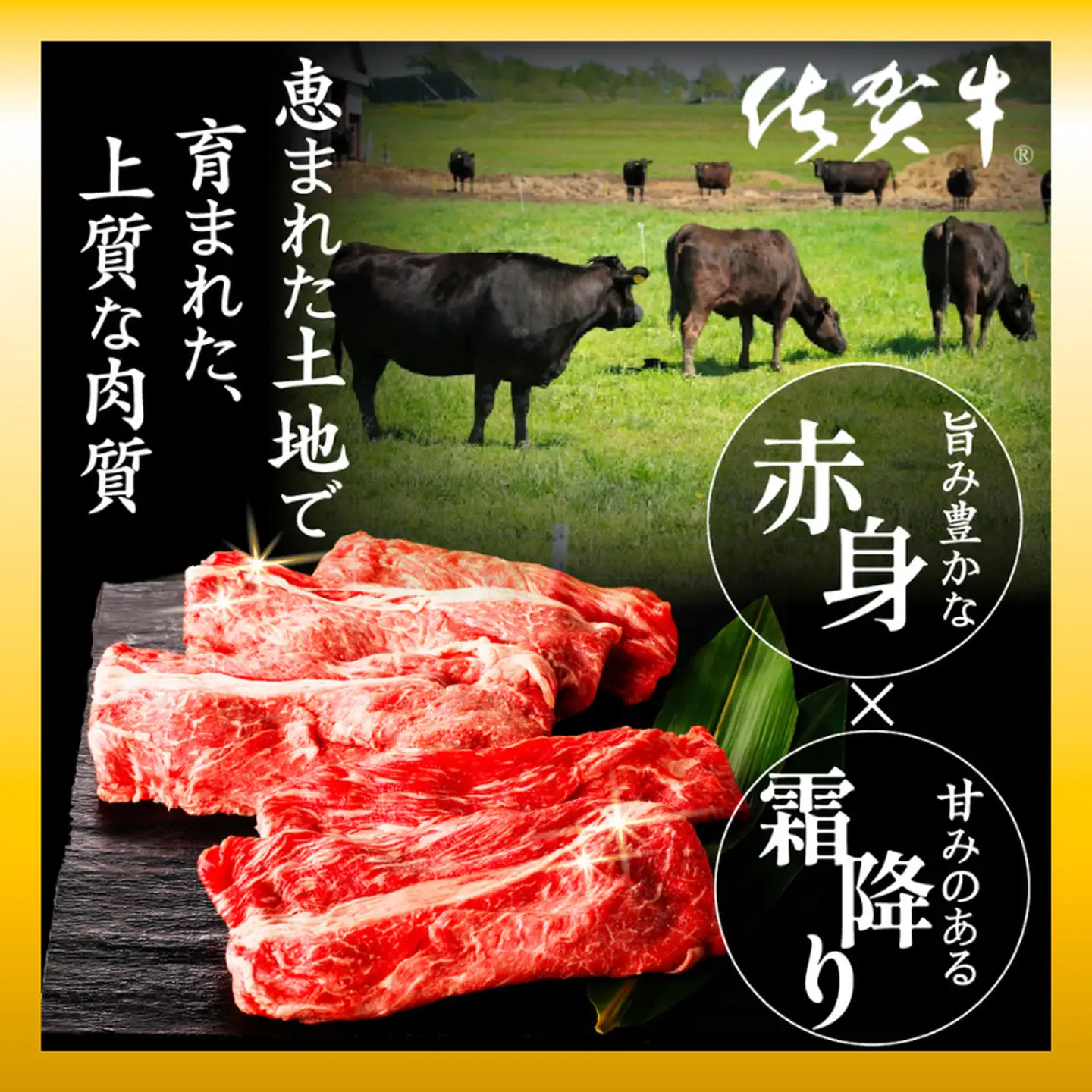 佐賀牛 モモスライス 300g：B145-021