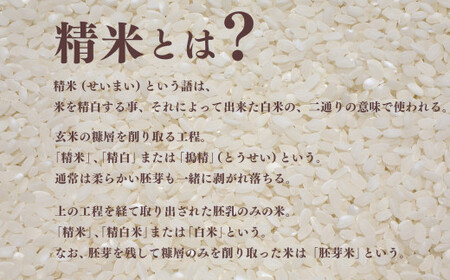 令和7年産 コシヒカリ 精米 5kg 奈良県産 | お米 ライス コシヒカリ 奈良県 平群