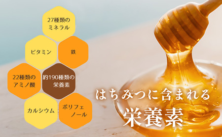 耕野のはちみつ　apis Honey Stick 　7g×6本【21114】