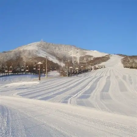 ホテル奥中山高原　特別優待券《リフト1日券ペア2枚引換》【1645447】