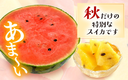【先行予約】やまびこ農園の秋の赤と黄の小玉スイカ 食べ比べセット 合計2玉入り (1玉当たり：2kg前後) 【2026年9月中旬以降順次発送予定】 【スイカ 西瓜 すいか 小玉 デザート 果物 くだもの 秋 ジューシー お取り寄せ グルメ 産地直送】 [A-21903]