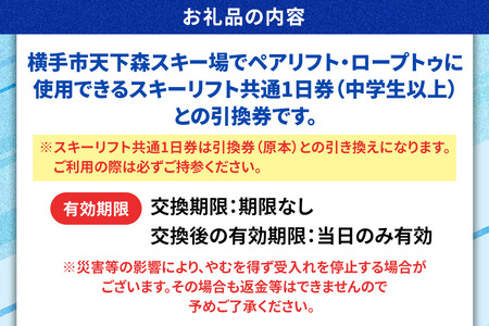 横手市天下森スキー場 スキーリフト共通1日券（一般）引換券 ゆうパケット