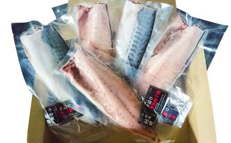【6ヶ月定期便】 越田の干物 大さば（1枚入）×5パック 合計30パック 干物 鯖 さば 魚 お魚 さかな さば サバ