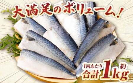 【6ヶ月定期便】【訳あり】国産 ふっくら 極み塩サバ 計約1kg ／ 1切れ 塩サバ 塩さば 塩鯖 さば サバ 鯖 魚