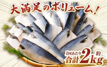【6ヶ月定期便】【訳あり】国産 ふっくら 極み塩サバ 計約2kg ／ 1切れ 塩サバ 塩さば 塩鯖 さば サバ 鯖 魚