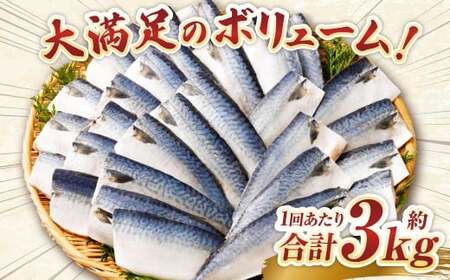 【3ヶ月定期便】【訳あり】国産 ふっくら 極み塩サバ 計約3kg ／ 1切れ 塩サバ 塩さば 塩鯖 さば サバ 鯖 魚