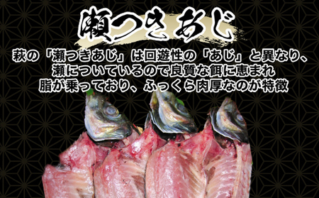 萩の瀬つきあじ開きセット(8尾入り)