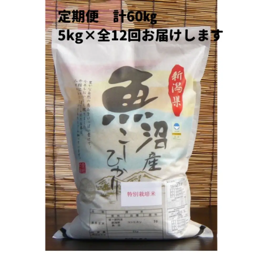 【令和７年産】12か月定期便　がんこおやじが作った南魚沼産コシヒカリ白米５kg【定期便 銘柄米 ブランド米 精米 こしひかり コシヒカリ 魚沼産 新潟米 産地直送 お米 米 こめ コメ ご飯 御飯 ごはん】