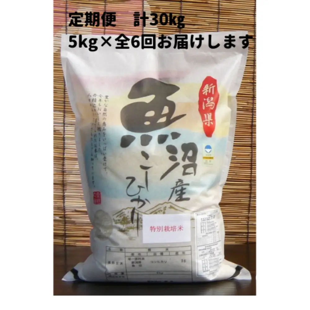 【令和７年産】6か月定期便　がんこおやじが作った南魚沼産コシヒカリ白米５kg【定期便 銘柄米 ブランド米 精米 こしひかり コシヒカリ 魚沼産 新潟米 産地直送 お米 米 こめ コメ ご飯 御飯 ごはん】