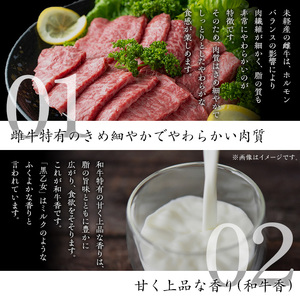 鹿児島黒牛 黒乙女 和牛モモスライス(500g) 黒毛和牛 黒牛 鹿児島県産【ナンチク】A965