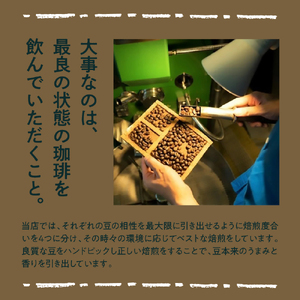 本格 ドリップコーヒー 厳選 10種 自家焙煎 コーヒー 10袋 ( 1袋 11g ) 自家焙煎珈琲 カフェグート
