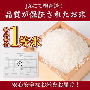 【E7107】《定期便・全4回》上士別清流米 ゆめぴりか (5kg×4回・計20kg) 米 お米 精米 白米 北海道米 ごはん ゆめぴりか 北海道産 士別産 5kg 20kg 定期便 【合同会社T&M】