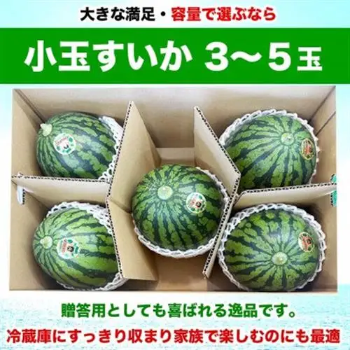小玉すいか 3～5玉入り M～3Lサイズ 約4.5kg以上(益城町)【1684314】