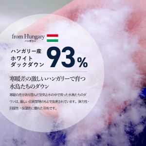 布団 さらっと薄手の羽毛布団 シングル ブルー 洗えるふとん