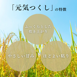 定期便 12回 特別栽培米 R7年度産 福岡県 小郡産 元気つくし 5kg 米 お米 12ヶ月