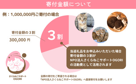 保護猫活動を応援！ 返礼品無し 1,000,000円（お礼状送付） 保護猫