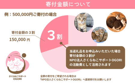 保護猫活動を応援！ 返礼品無し 500,000円（お礼状送付） 保護猫
