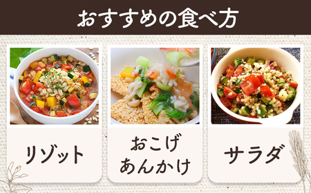 もち麦 令和7年産 キラリモチ 500g 結城市産 けいいちろう商店 《30日以内に出荷予定(土日祝除く）》茨城県 結城市 もち麦 米 こめ コメ 麦 ご飯 お弁当