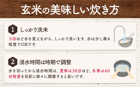 玄米 令和7年産 いのちの壱 1kg 結城市産 けいいちろう商店 《30日以内に出荷予定(土日祝除く）》茨城県 結城市 玄米 米 こめ コメ ご飯 大粒 お弁当 おにぎり