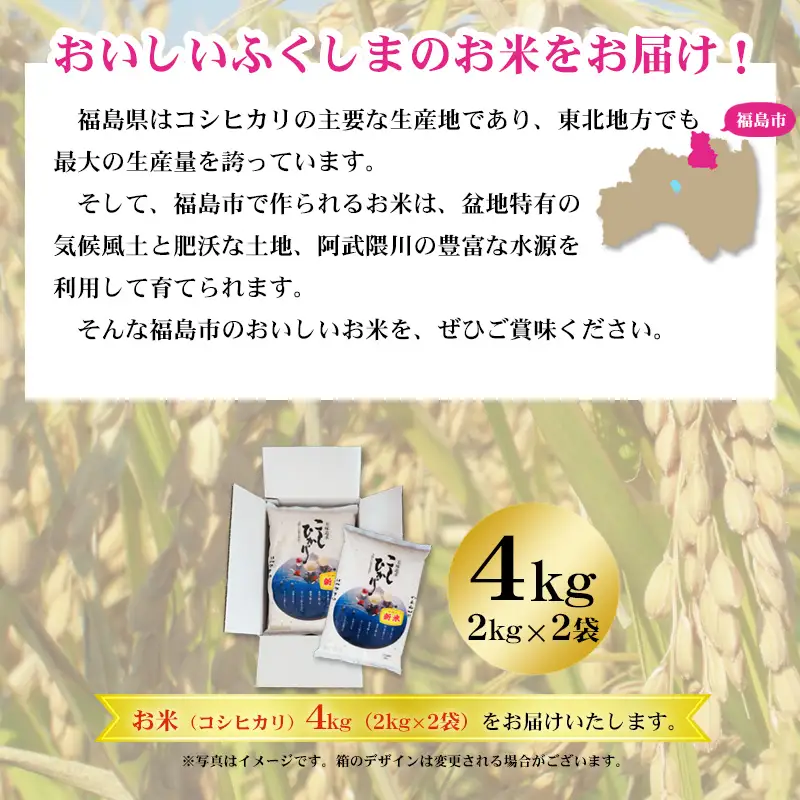 No.3247 【令和7年産】 菅野房吉商店 福島市産コシヒカリ 4kg