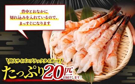特大 ブラックタイガー 殻なし ビッグサイズ （20匹） 【入金確認後7営業日以内に発送】 剥き海老 剥きえび むき海老 むきえび むきエビ むき身 海鮮 海産物 魚介類 甲殻類 海の幸 大阪府 阪南市