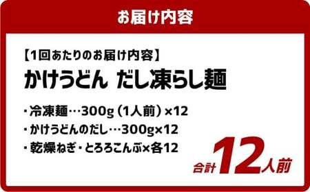 【12ヶ月定期便】かけうどん だし凍らし麺 12人前×12回 うどん 麺類 麺 冷凍 ぶっかけうどん タレ つゆ 岡山県 倉敷市