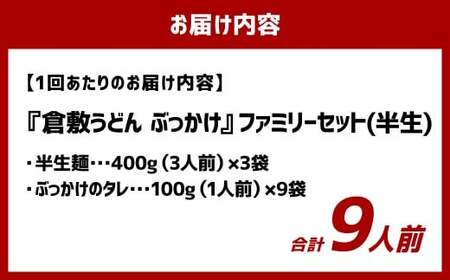 【3ヶ月定期便】『倉敷うどん ぶっかけ』ファミリーセット(半生) 9人前×3回 うどん 麺類 麺 半生 半生麺 ぶっかけうどん タレ つゆ 岡山県 倉敷市