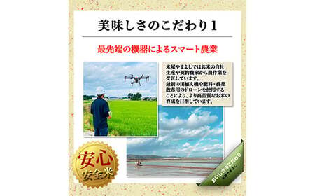 【3か月定期便】令和7年産 福島県須賀川産 ミルキークイーン 白米 5kg 全3回 米 お米 コメ ごはん ご飯 F7X-0610