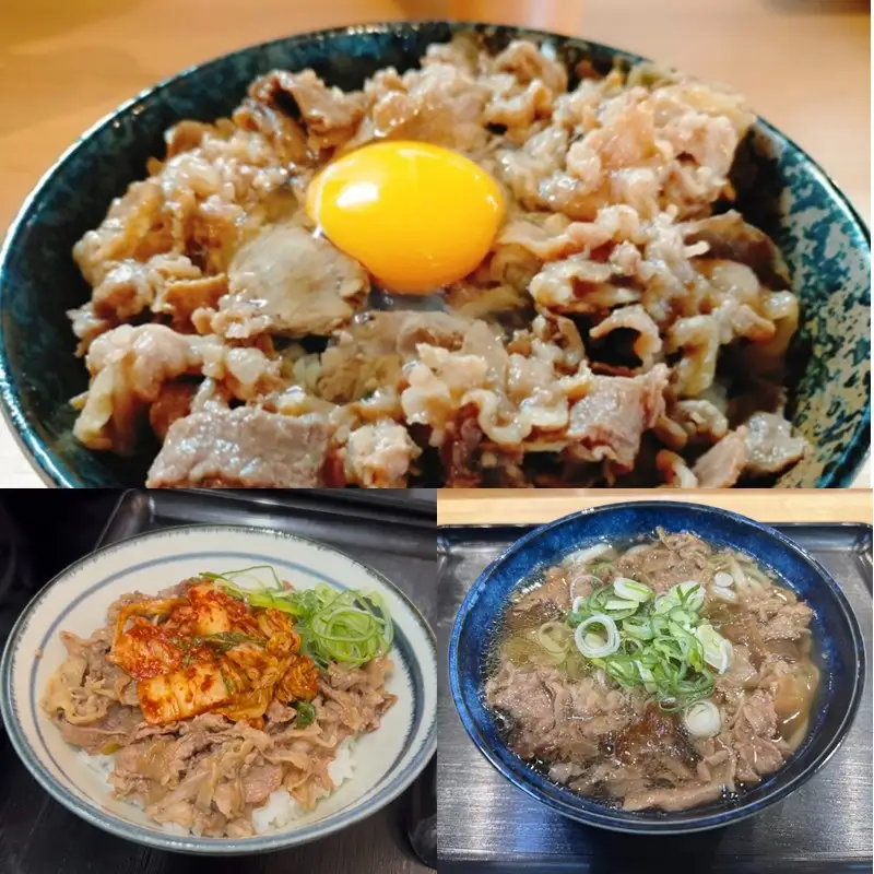 牛丼、肉うどんの具 5袋【A6-037】
