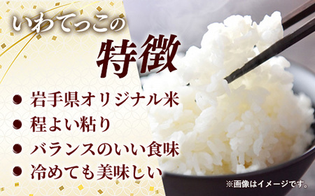 令和7年産 お米 精米 いわてっこ 5kg ブランド米 岩手町産