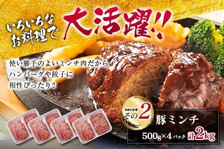 数量限定 豚肩ロース スライス 豚ミンチ セット 合計4kg_CD88-26