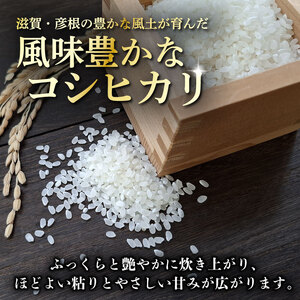 コシヒカリ 5kg こしひかり 令和7年産 精米 つきだ農産