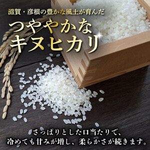 令和7年産 キヌヒカリ 白米 10kg