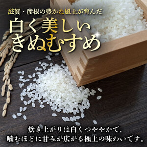 令和7年産 きぬむすめ 白米 5kg