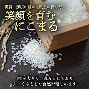 令和7年産 にこまる 白米 10kg