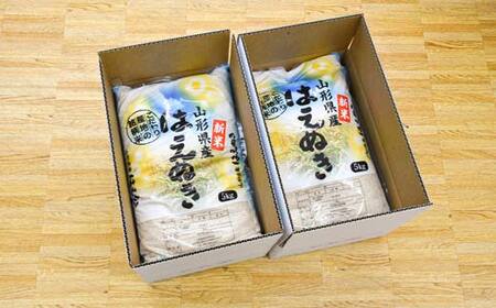 はえぬき 20kg (5kg×4袋) 山形県産 精米 【令和7年産】 F2Y-4605
