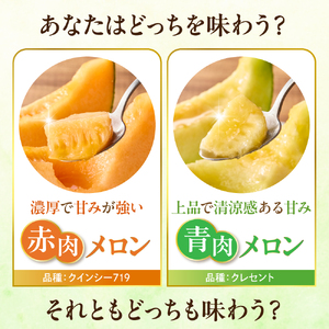【先行予約】 令和8年産 赤肉青肉メロン 食べ比べ 2セット ( クインシー719 ・ クレセント ) 各2玉 計4玉 8kg以上 2026年7月中旬～8月中旬頃お届け予定