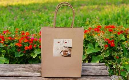 高麗人参 TEAPAC エキス 飲料 お茶