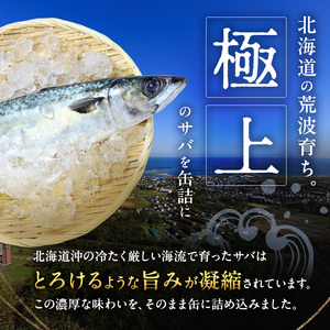 北海道オホーツク枝幸産 さば水煮 缶詰170g×24個 水揚げ当日フレッシュパック！［海洋食品］【 さば サバ サバ缶 缶詰 新鮮 惣菜 保存 長期 加工食品 魚貝 魚介 北海道 オホーツク 枝幸 】