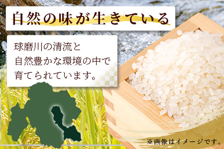 【令和7年度産米】球磨産 ひのひかり 精米 5kg お米 ヒノヒカリ お米 白米 036-0180