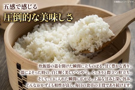 米 令和8年産 特別栽培米 つや姫 5kg [本田勇仁 山形県 高畠町 tk06bgj910004]