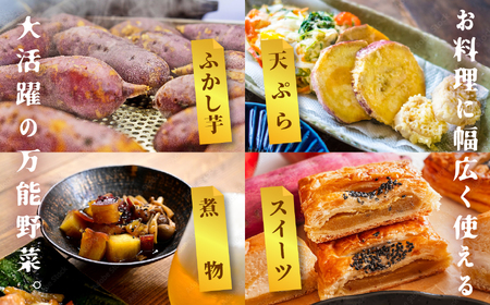 さつまいも 紅はるか 10kg ｜さつまいも【株式会社橋本】