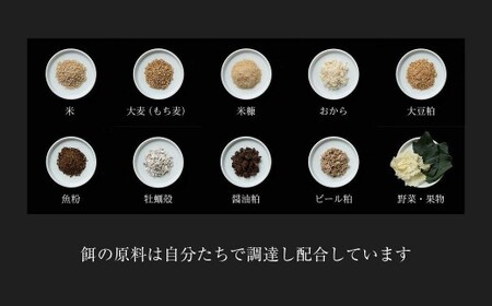 平飼い有精卵10個＋オリジナルマヨネーズ｜放し飼い・濃厚卵（岡山県西粟倉村）【配送不可地域：沖縄・離島】 t-SS-AlEA